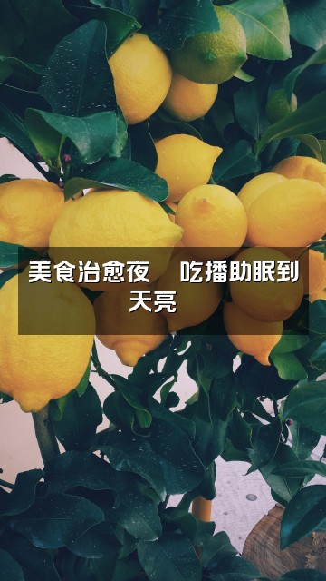 抖音幸运星助眠视频封面：美食治愈夜🍜吃播助眠到天亮🌟